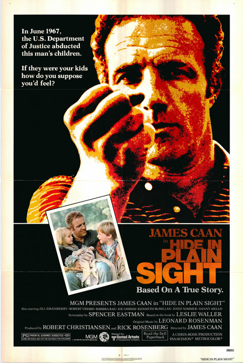 hide in plain sight 1979 one sheet poster folded